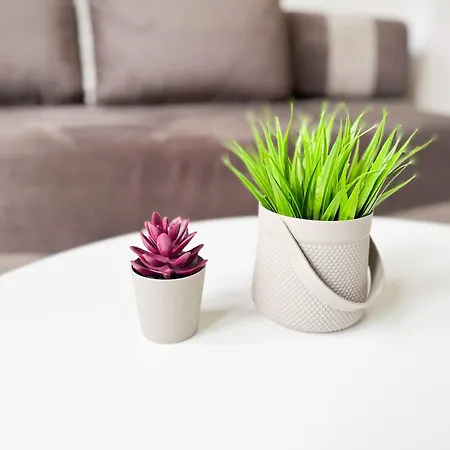 Apartman Soft - Location *